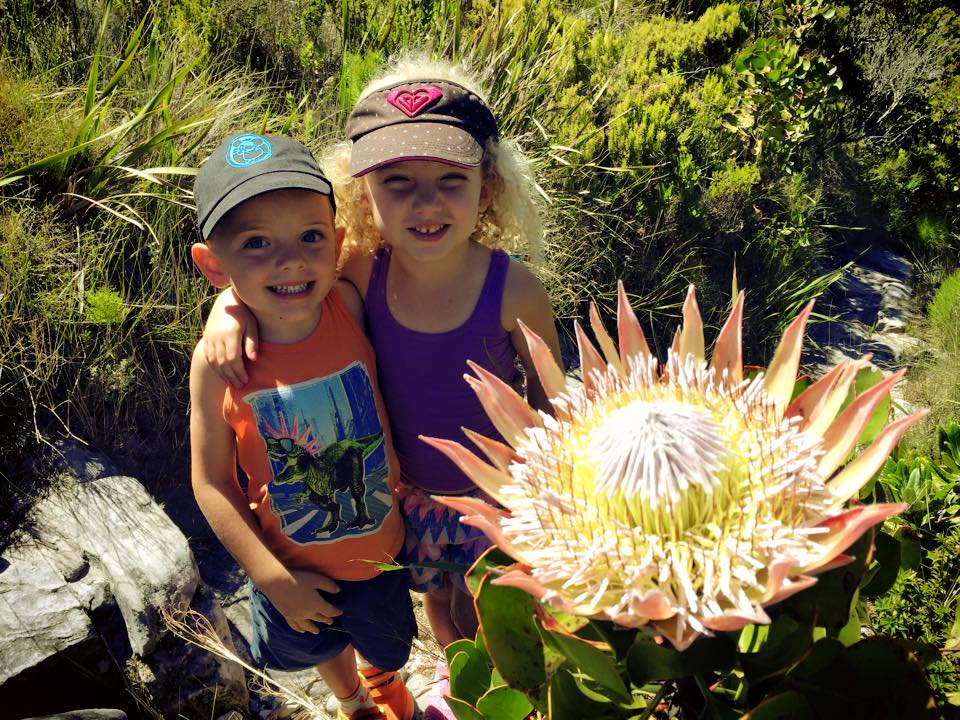 A valley of King Proteas!