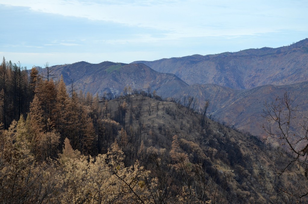 Apocalyptic wasteland - Part of Yosemite was caught in the 400 square mile fire that burned for 2 mo