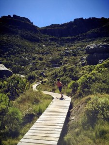 Lincoln running along the board walks on top of Table Mountain.