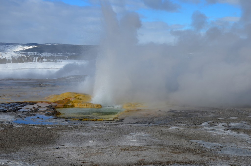 One of the smaller geysers in Yellowstone.