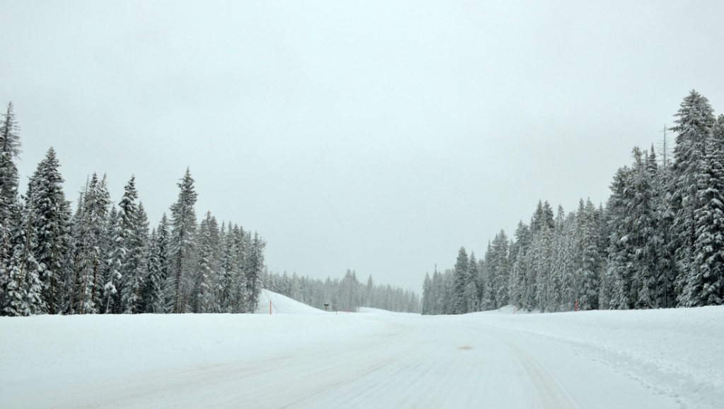 Our winter road