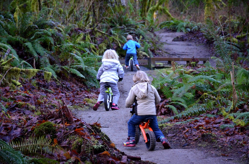 A stroll in the beautiful woods near Cath and Marcin's home.