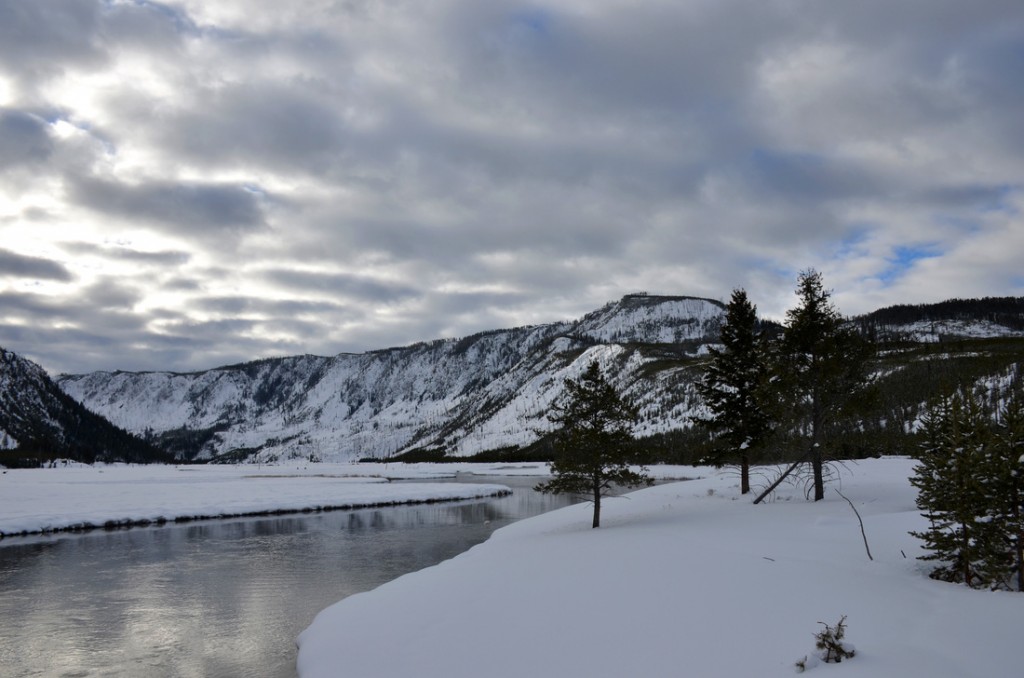 A frozen Yellowstone.